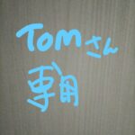 イチロー WBC 使用予定 バッティンググローブ