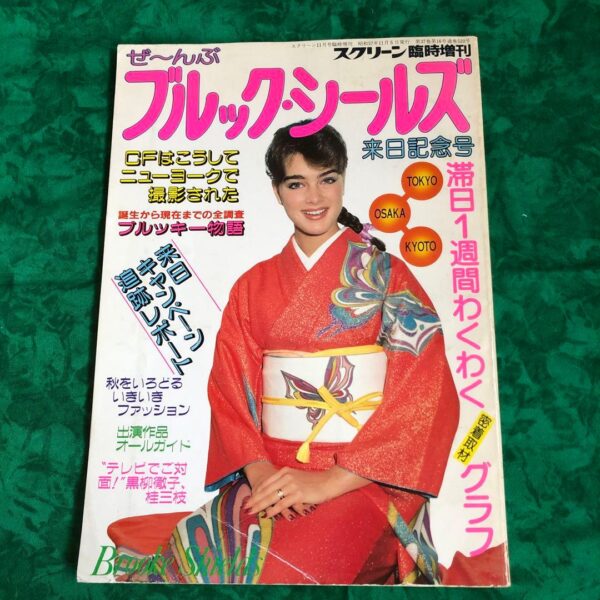ブルックシールズ写真集　1番綺麗だった時期のブルックが沢山