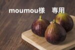 【お値下げ可】カローラクロス バンパー　パーツ　金属調塗装 新車外し 純正品