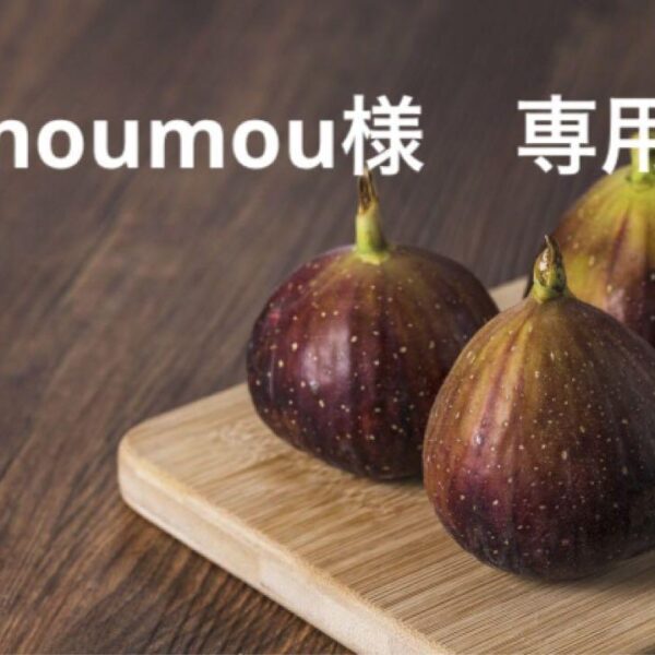 【お値下げ可】カローラクロス バンパー　パーツ　金属調塗装 新車外し 純正品