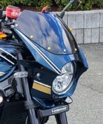 Z900RS 青玉虫 ビキニカウル