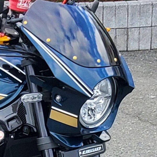 Z900RS 青玉虫 ビキニカウル