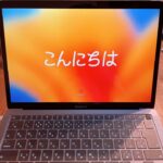【極美品】Apple M1 MacBook Air  512GB 8コアGPU