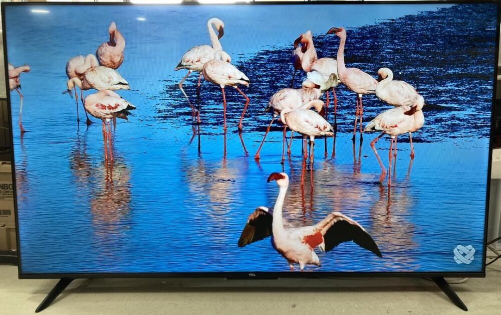 TCL 55V型 4K 液晶 テレビ 55V6C Wチューナー内蔵
