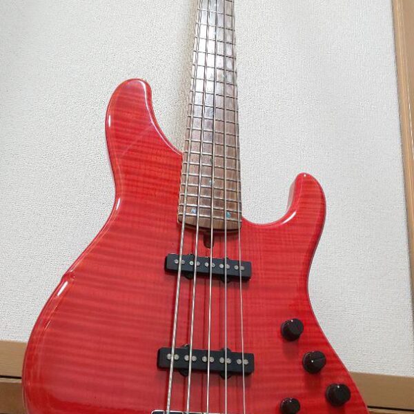 dragonfly FAT-J5 custom 345