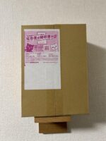 ポケモンワールドチャンピオンシップス2023横浜 記念デッキ「ピカチュウ」
