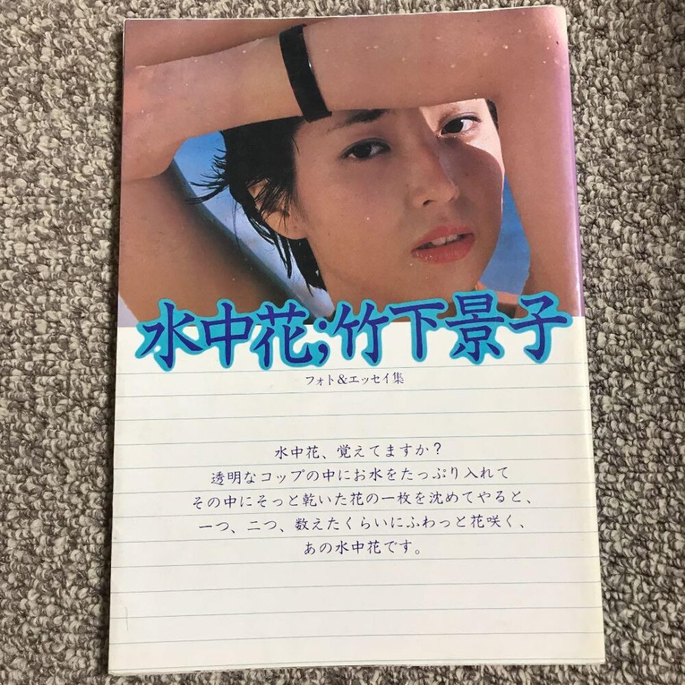 女優竹下景子写真集　昭和レア