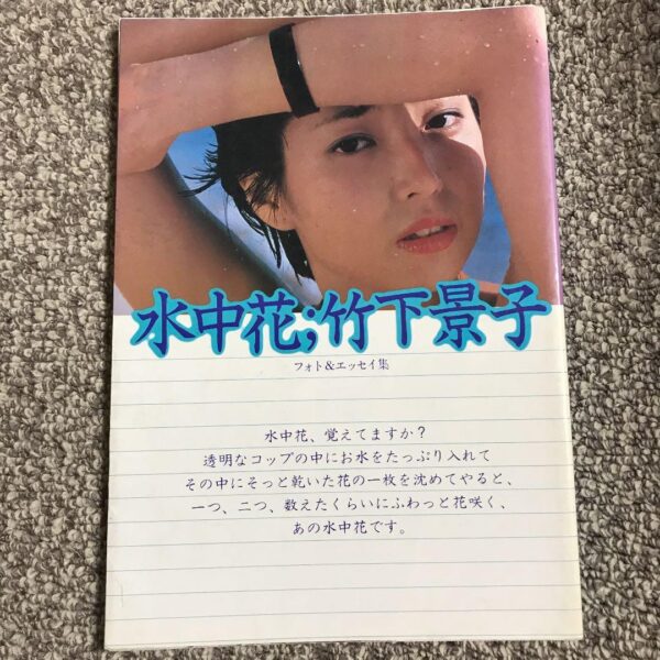 女優竹下景子写真集　昭和レア
