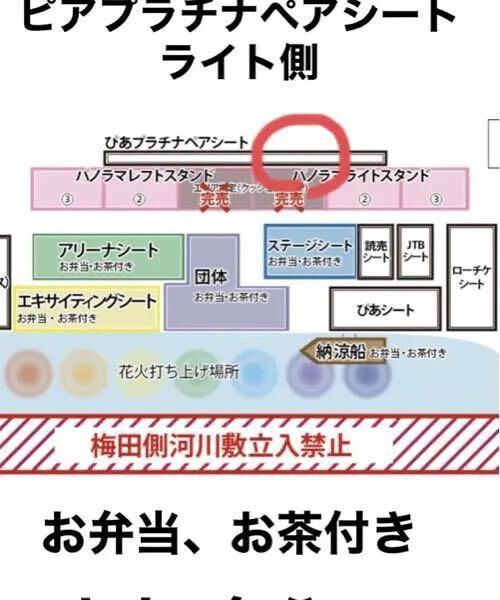 第35回なにわ淀川花火大会　ピアプラチナペアシート2名分