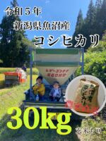 新潟県魚沼産コシヒカリ　30kg  玄米も可能