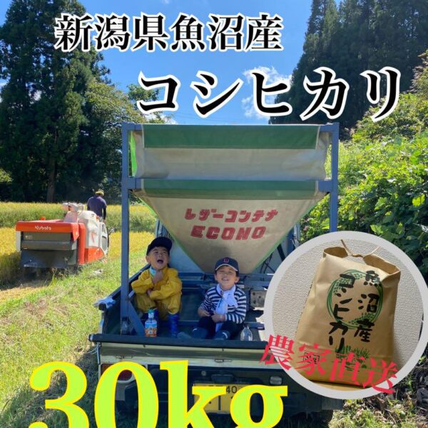 新潟県魚沼産コシヒカリ　30kg  玄米も可能