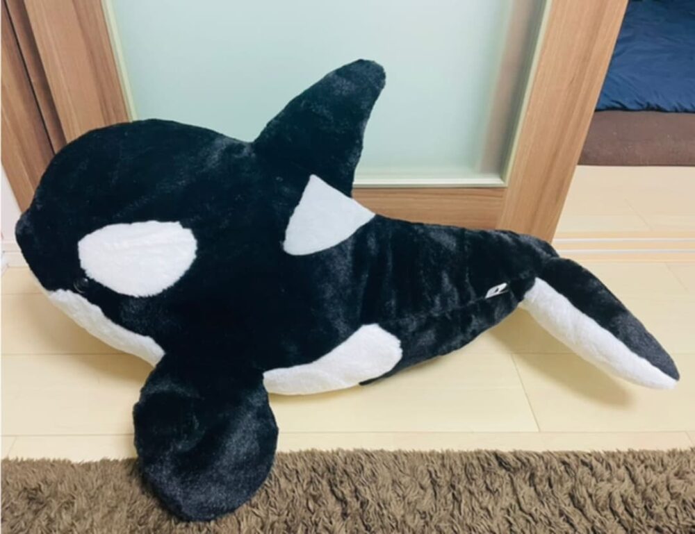 名古屋港水族館 シャチ ぬいぐるみ